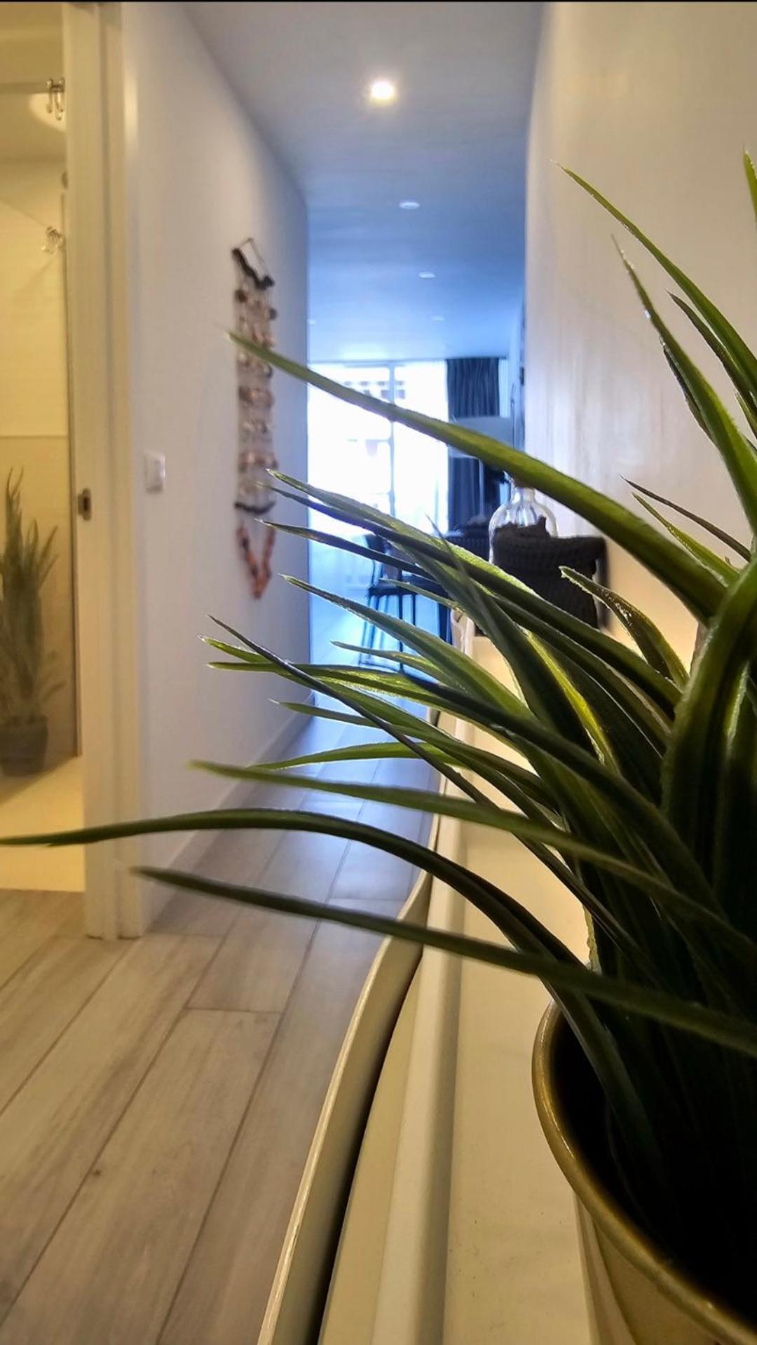 524 Ocean Dreams Las Americas Πλάγια ντε λας Αμέρικας Εξωτερικό φωτογραφία