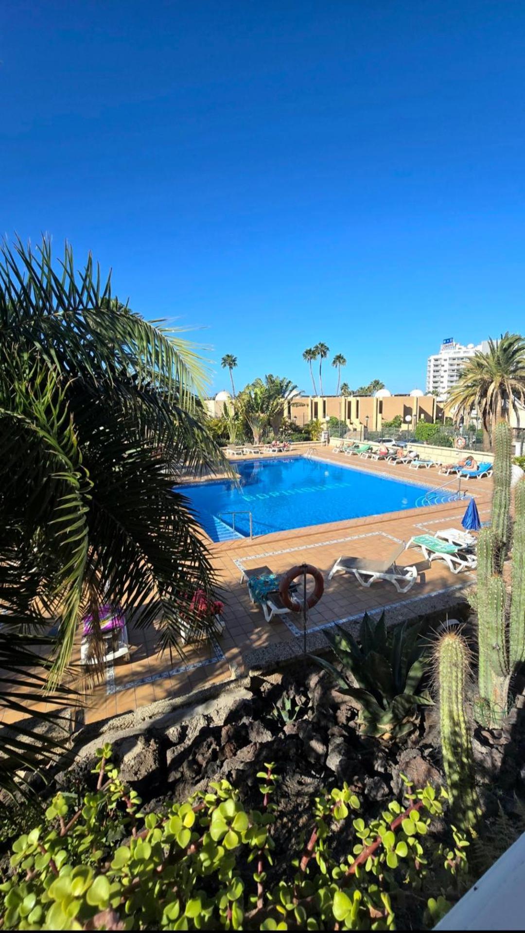 524 Ocean Dreams Las Americas Πλάγια ντε λας Αμέρικας Εξωτερικό φωτογραφία
